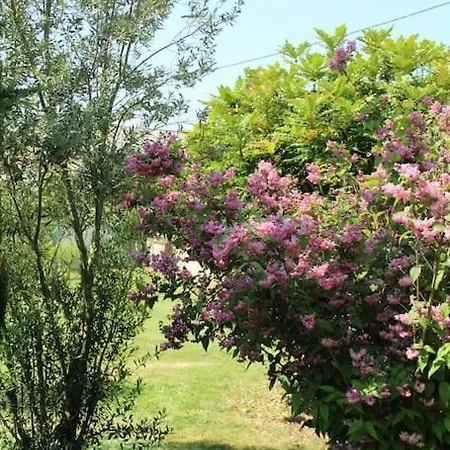 Belle Au Calme Avec Piscine Couverte Villa Saint-Maxire