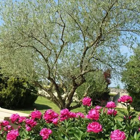 Belle Au Calme Avec Piscine Couverte Villa Saint-Maxire